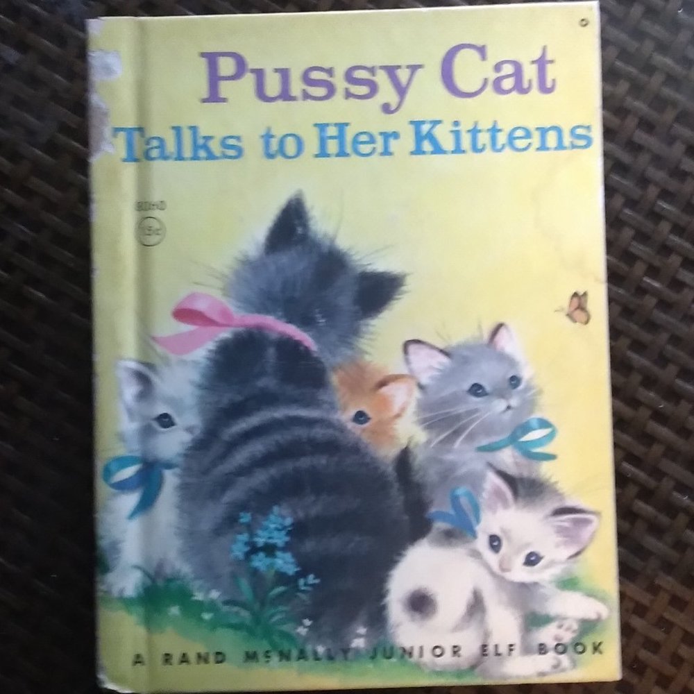 VINTAGE CHILDREN'S BOOK - Pussy Cat Talks To Her Kittens